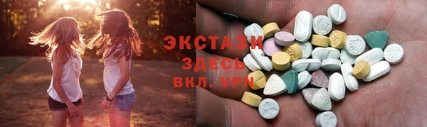 соль ск Новозыбков