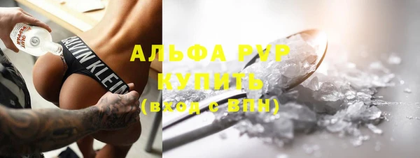 соль ск Новозыбков