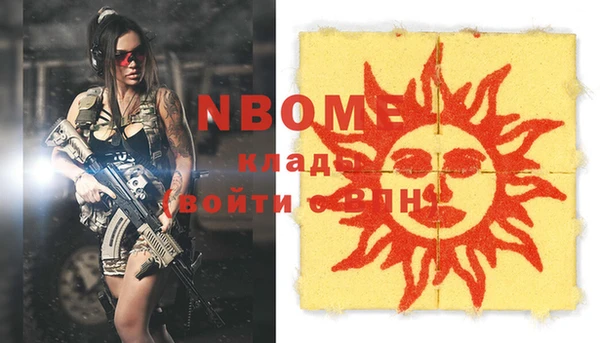 шишки Абинск