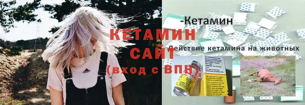 соль ск Новозыбков