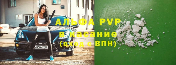 соль ск Новозыбков
