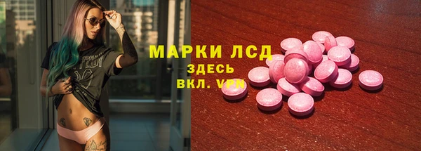 соль ск Новозыбков